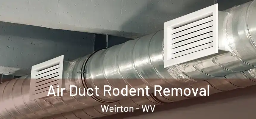  Air Duct Rodent Removal Weirton - WV