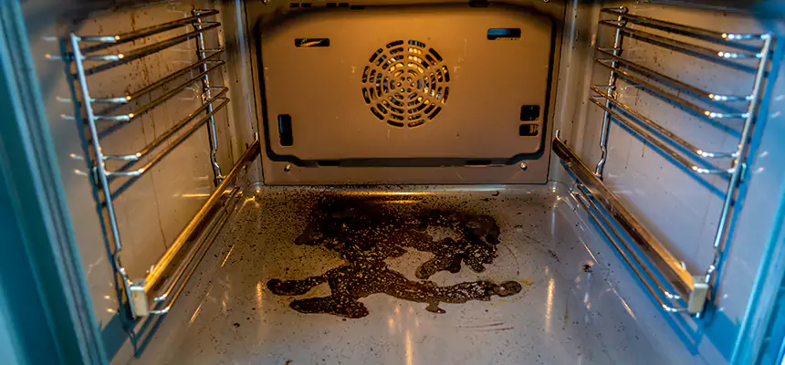 Our Dryer Vent Mold Cleaning Services in Weirton, WV