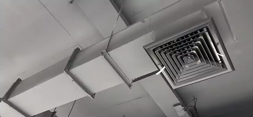 Our Rodent Droppings In Vents Services in Weirton, WV