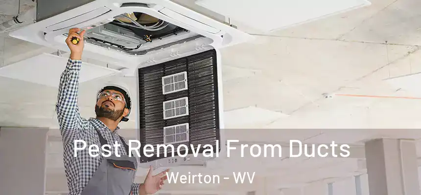 Pest Removal From Ducts Weirton - WV
