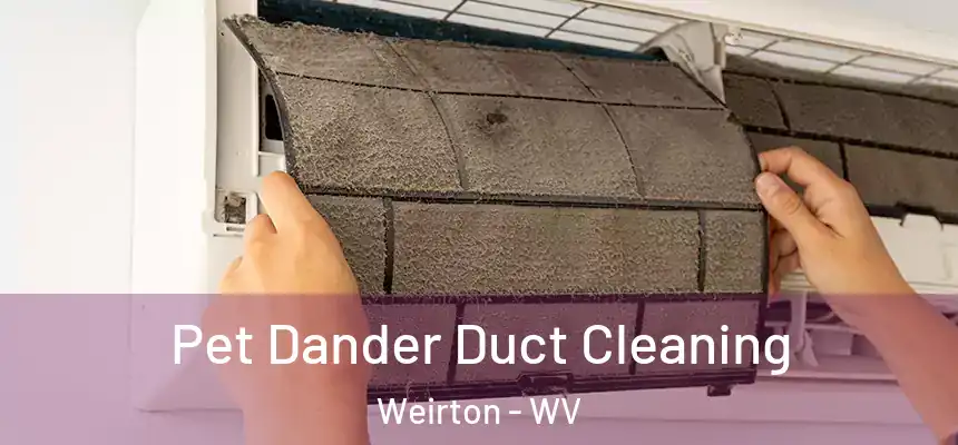  Pet Dander Duct Cleaning Weirton - WV