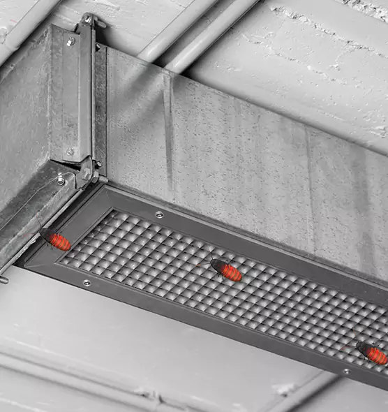 About Air Duct Cockroach Removal in Weirton, WV