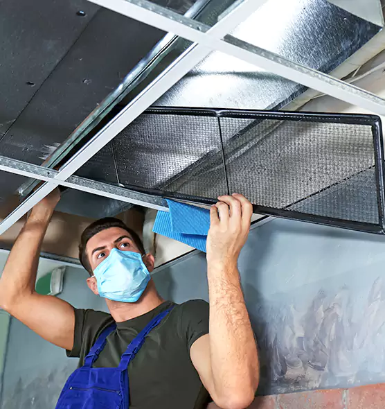 Professional Air Duct Pollen Cleaning in Weirton, WV