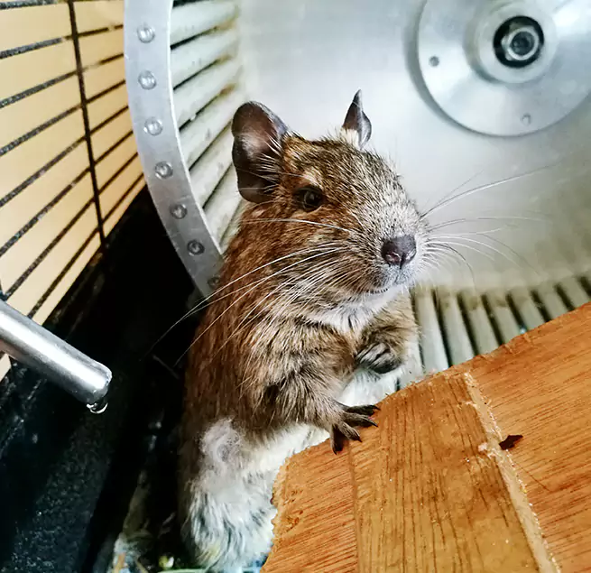 Why Homeowners & Businesses Trust Us Weirton, WV